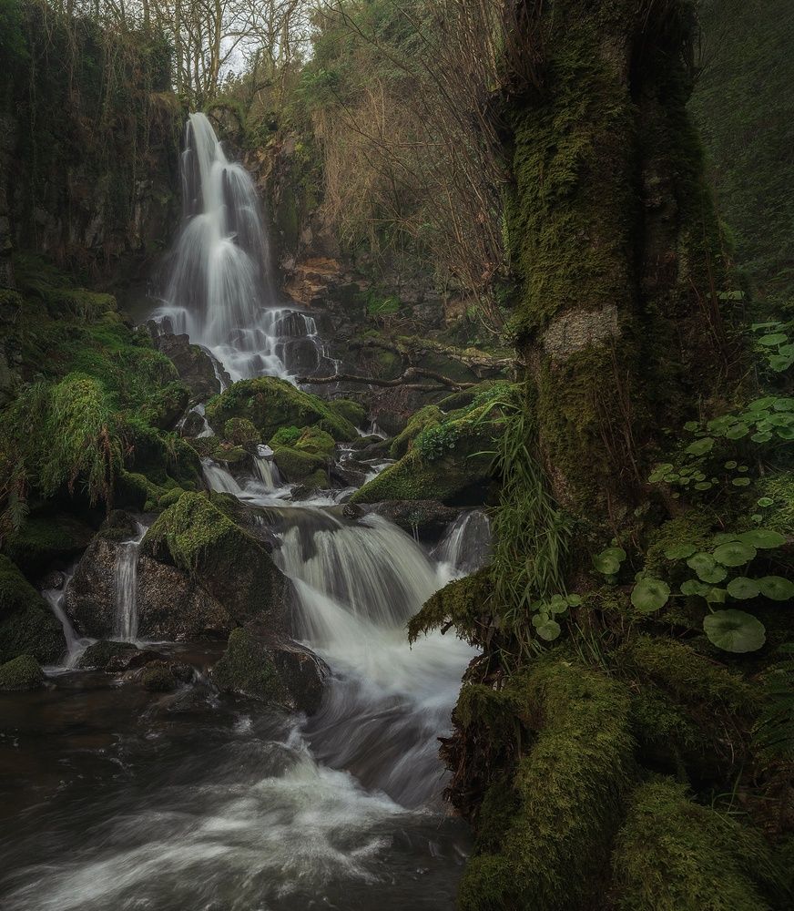 Photograph by Miguel Iglesias