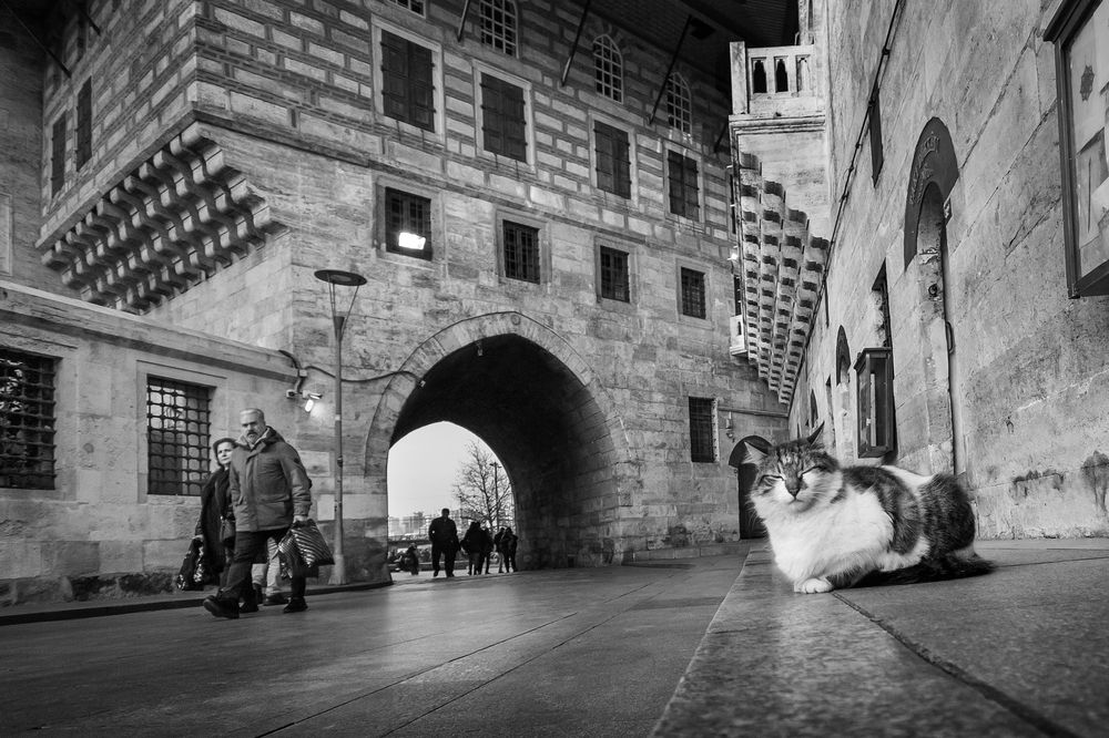 Photograph by Hasan Bayrak