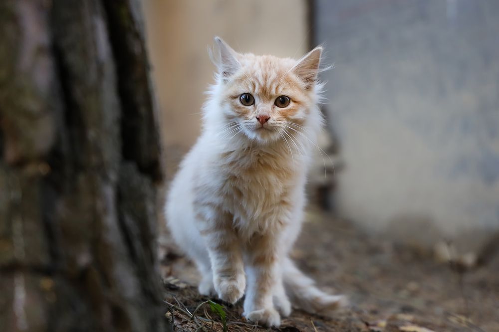 Photograph by Наталья Суслова