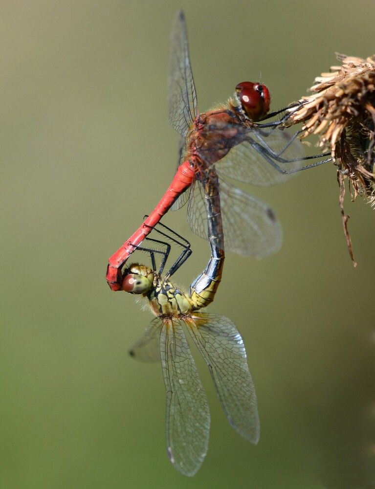 Фотография автора Садыков
