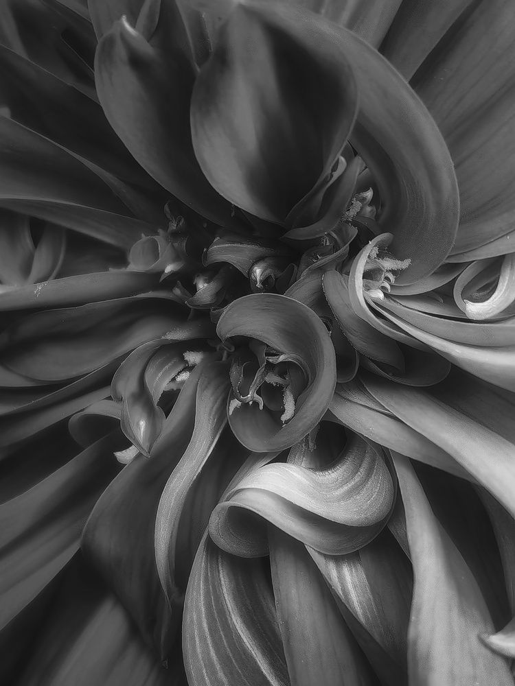 Photograph by Сергей Зайцев