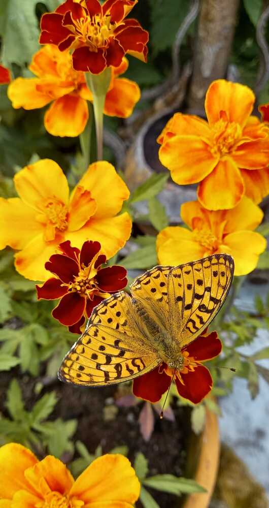 Photograph by Анастасия Бородина