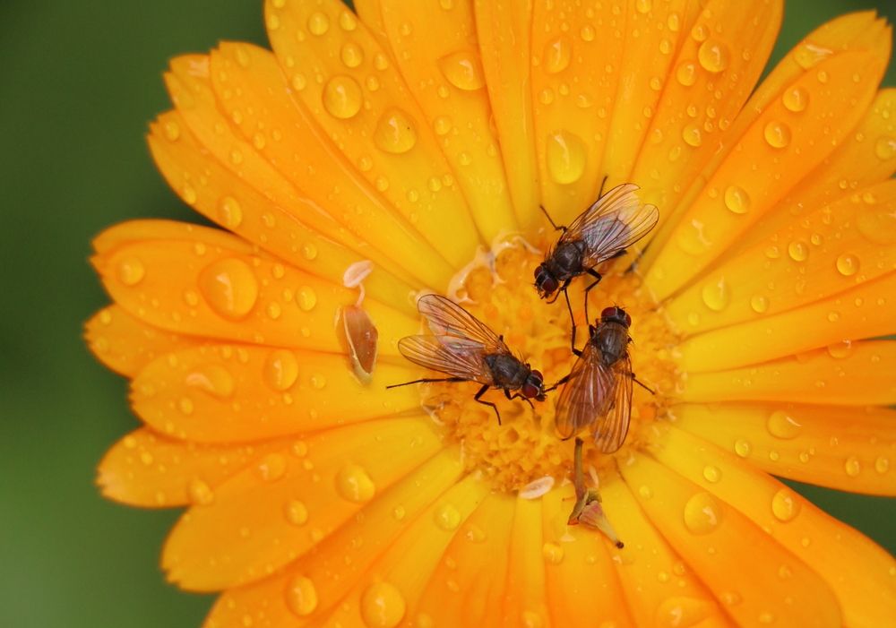 Photograph by Анастасия Бородина