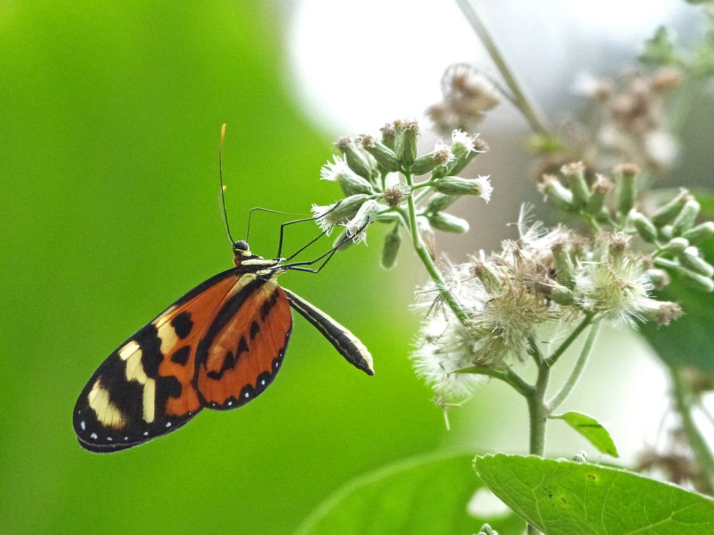 Photograph by GLEYDA GUTIÉREZ