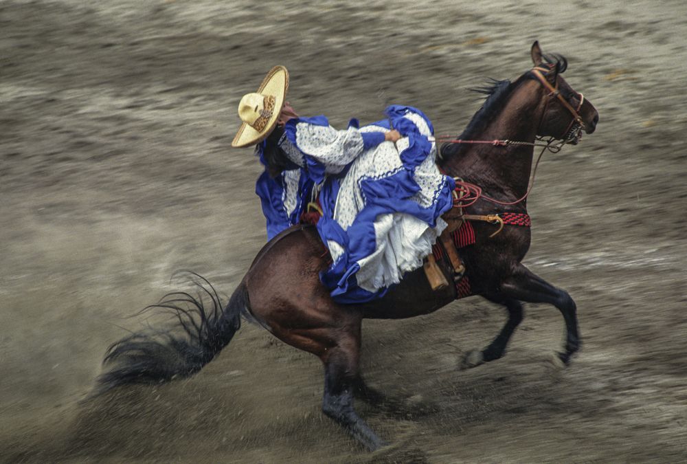 Photograph by gustavo gatto