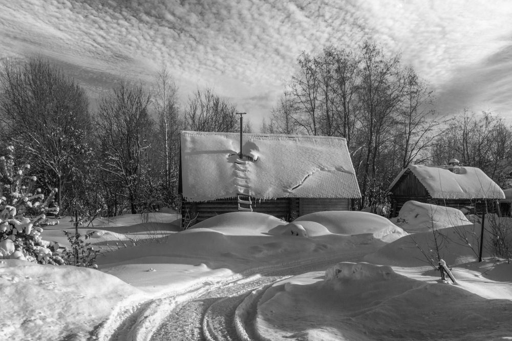 Photograph by Ирина Заколдаева