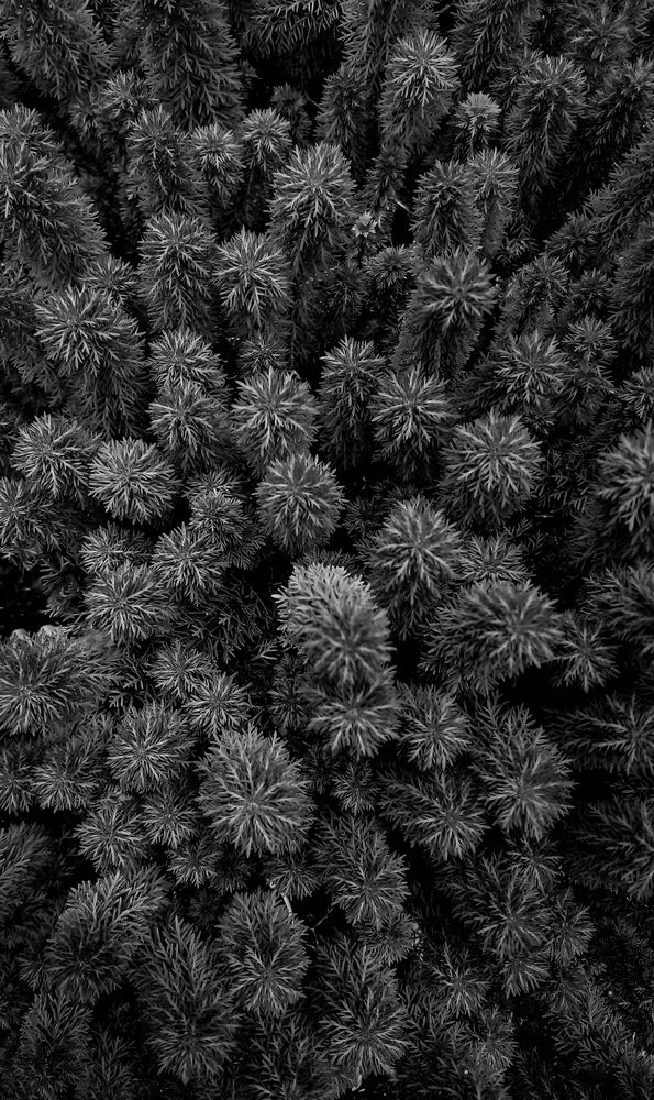 Фотография автора Laddu Sasindu Pramuditha De Silva