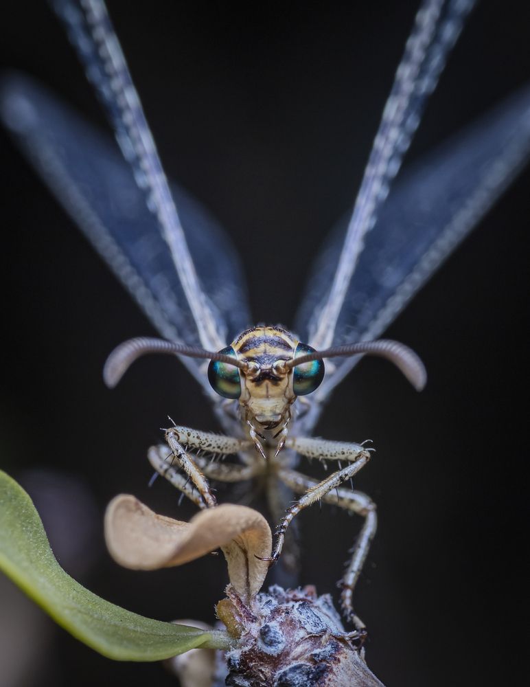 Photograph by Rodolfo Vega Littlewood