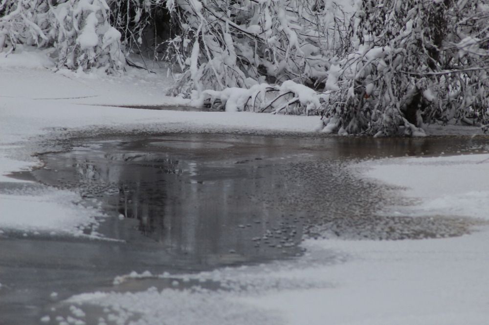 Photograph by Елена Наленч