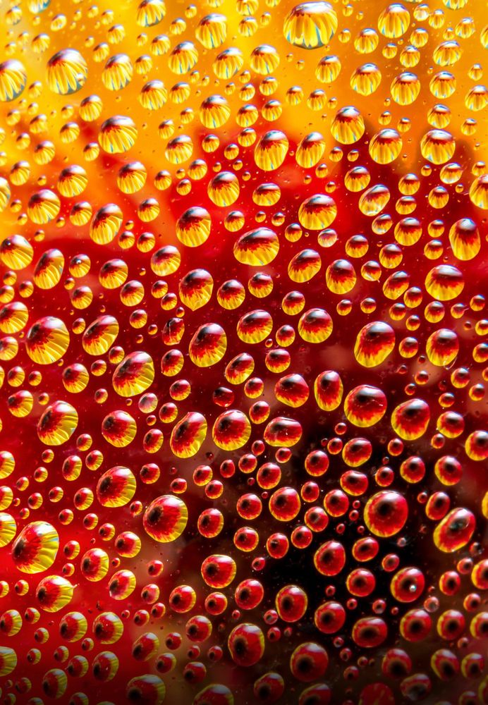 Photograph by Anas Shalash