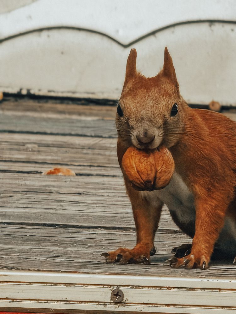 Photograph by Роман Божко