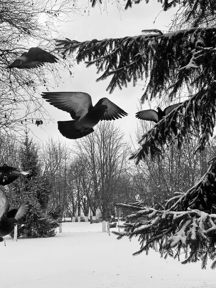 Photograph by Алина Акимова