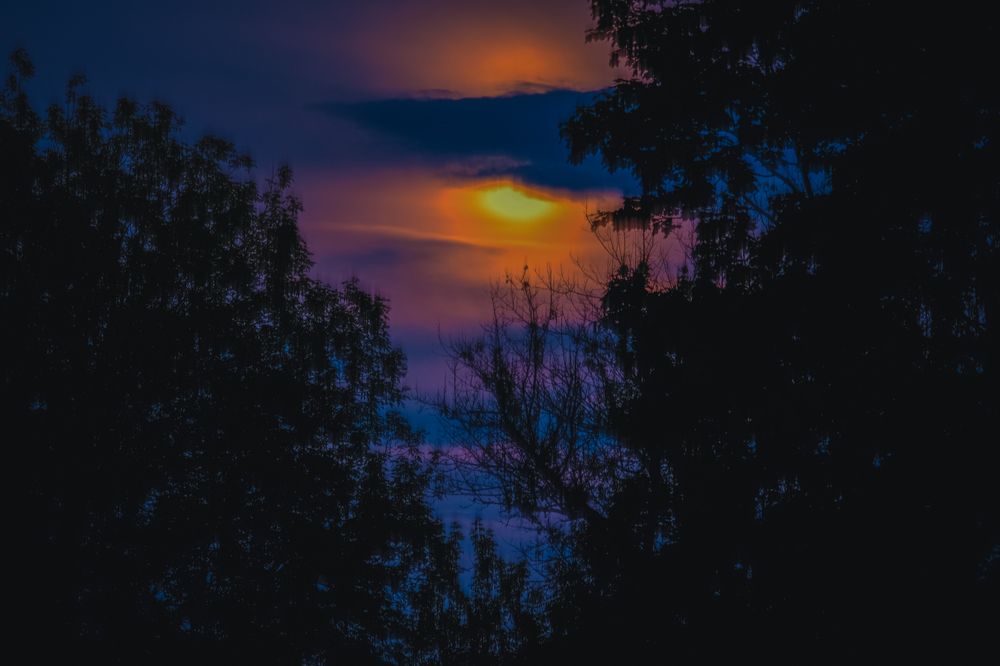 Photograph by Иван Федоров