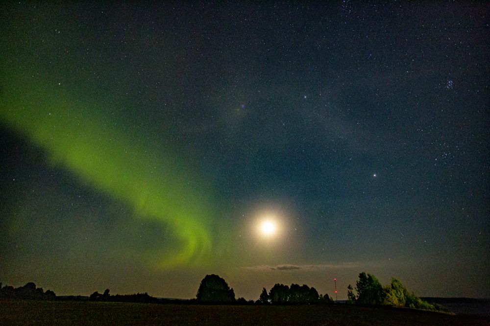 Photograph by Елена Васильева