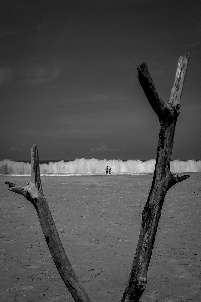 Фотография автора Laddu Sasindu Pramuditha De Silva