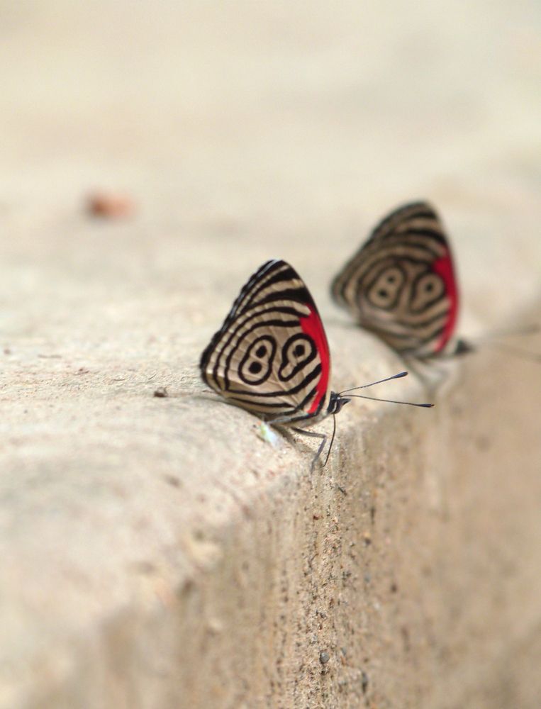 Photograph by GLEYDA GUTIÉREZ