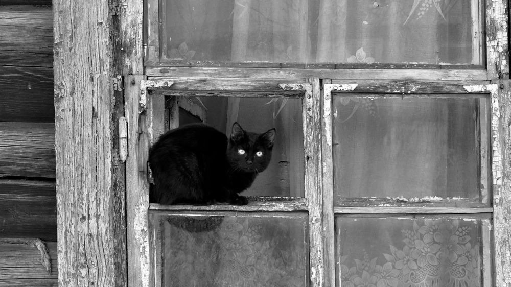 Черно-белый взгляд