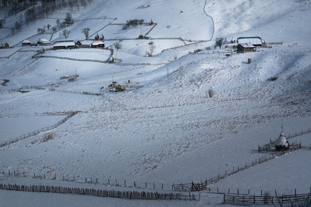 Фотография автора Bogdan Negoita