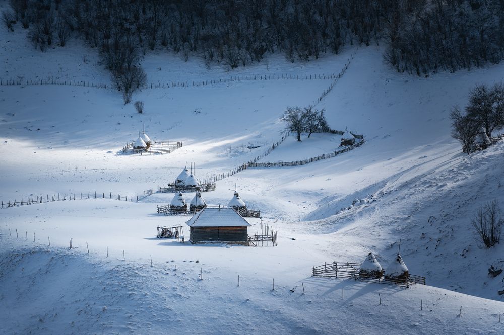 Photograph by Bogdan Negoita