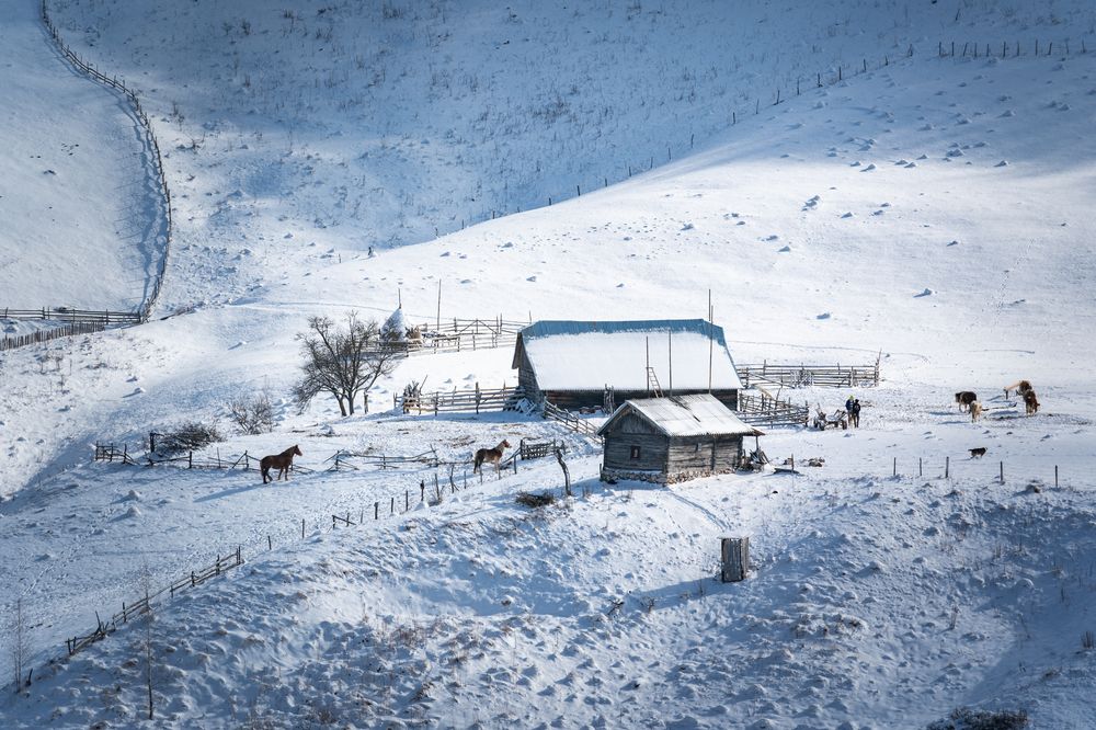 Фотография автора Bogdan Negoita