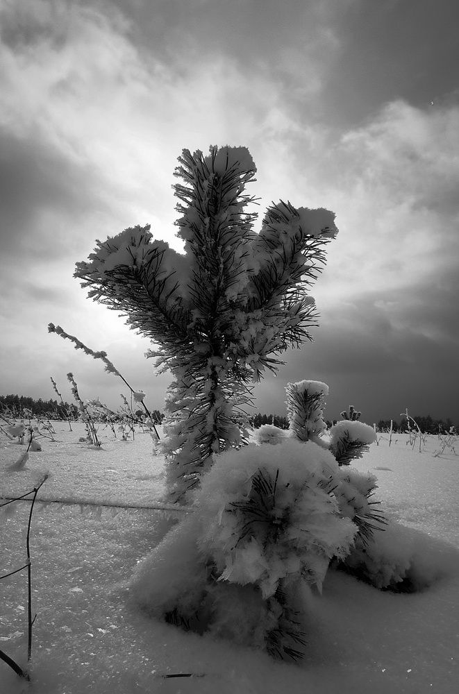 Photograph by ANDREY PERESHEIN