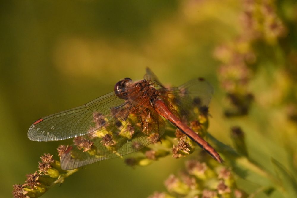Photograph by Наталья Маслова