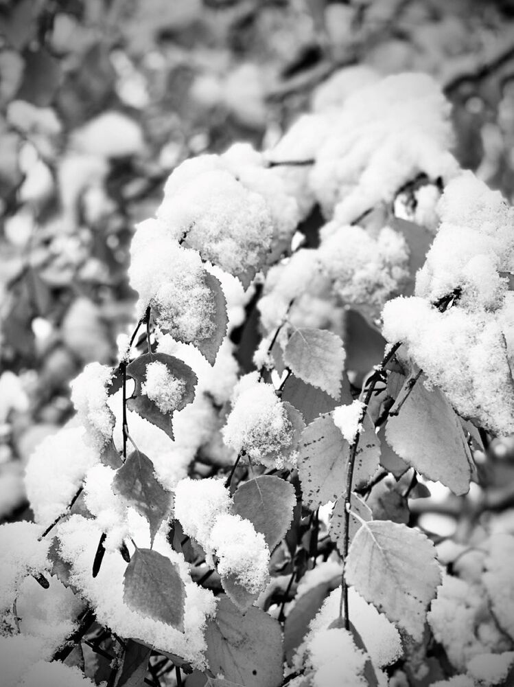 Photograph by Алина Акимова