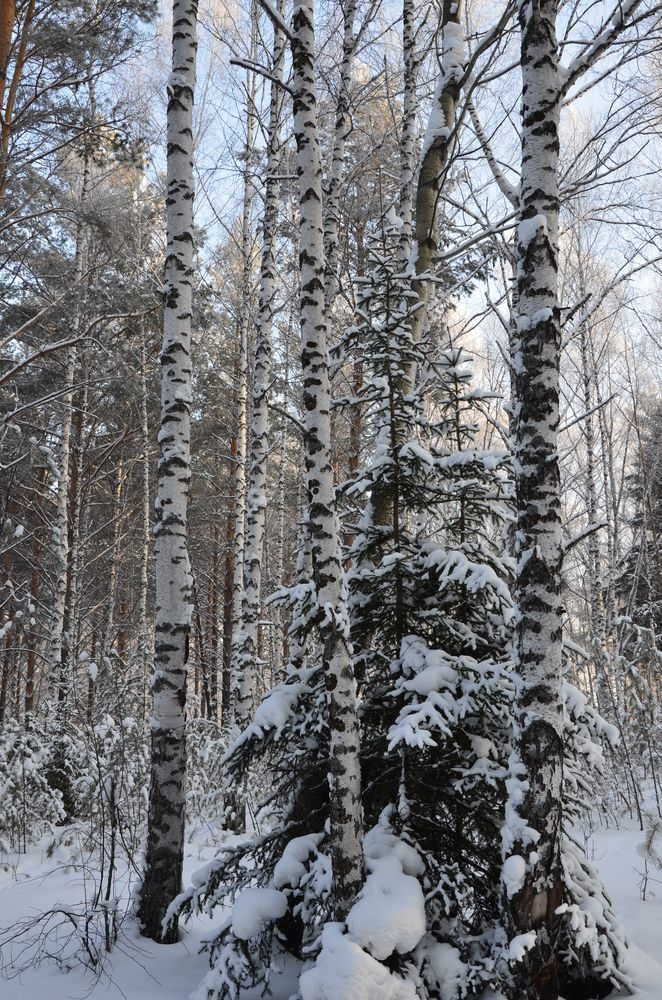 Photograph by Людмила Воропаева