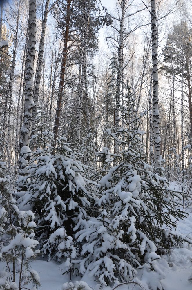 Photograph by Людмила Воропаева