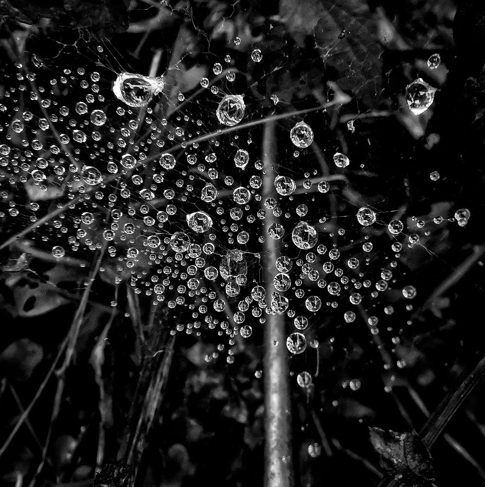 Photograph by Елена Артёменко