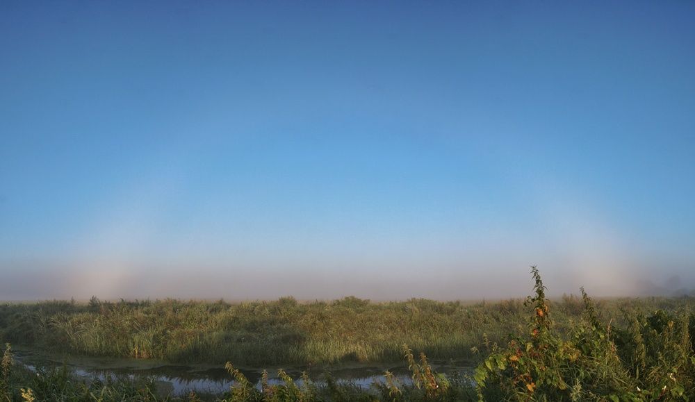 Photograph by Илья Воякин