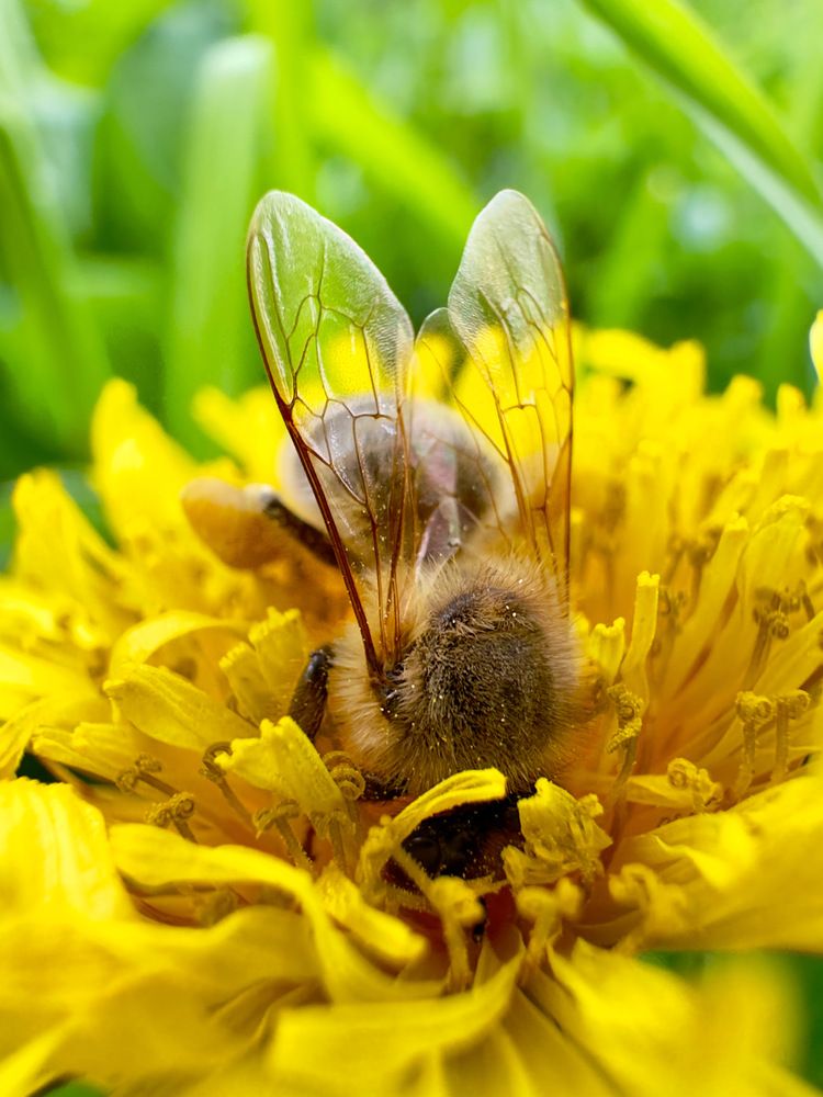 Photograph by Дина