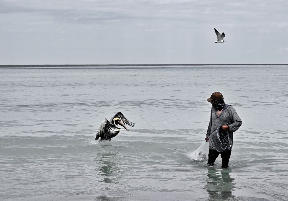 Photograph by Екатерина Степанова