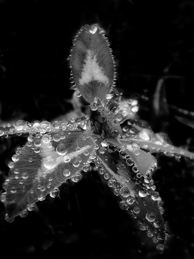 Photograph by Елена Артёменко