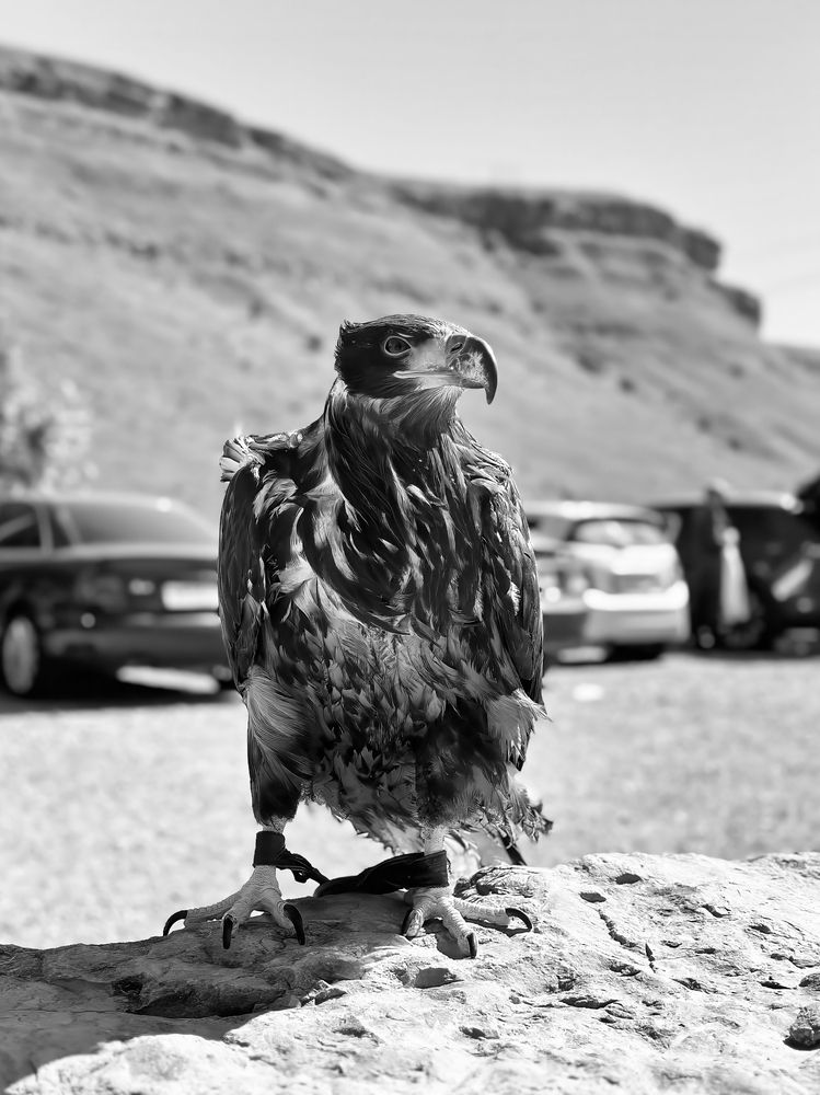 Photograph by Константин Поляков