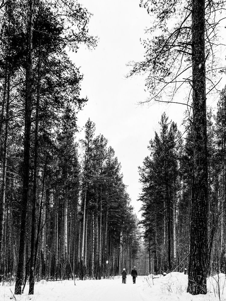 Photograph by Жанна Каргаполова