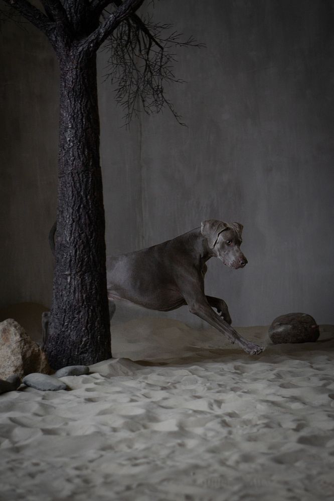 Мгновение охоты