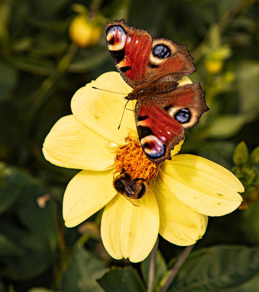 Фотография автора Екатерина Счасная