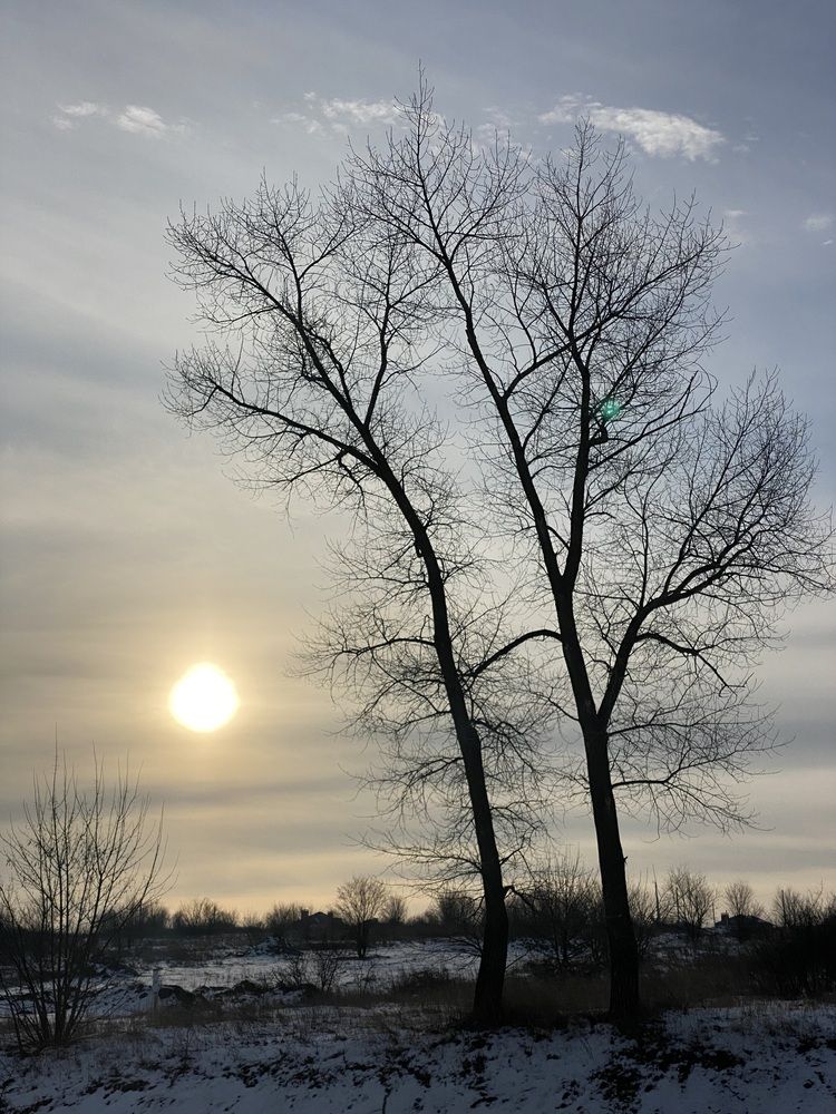 Photograph by Алина Акимова