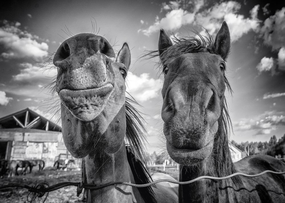 Photograph by Тамара Андреева