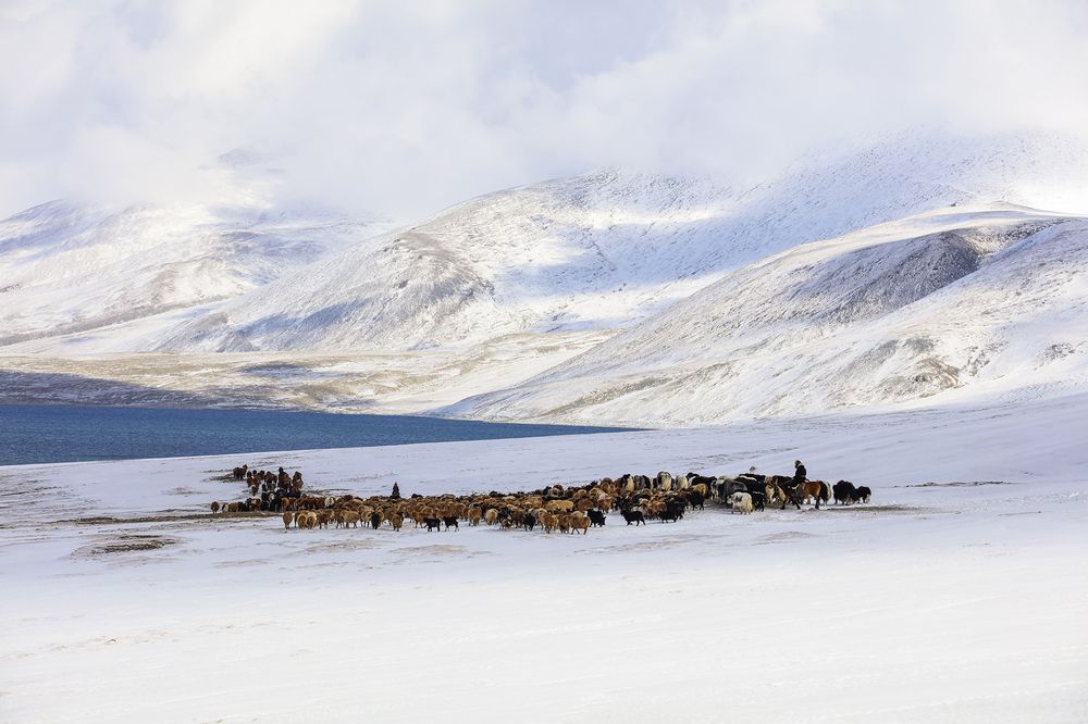 Photograph by Basan Baatarsuren