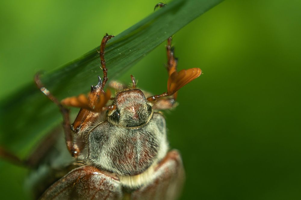 Фотография автора Екатерина Счасная
