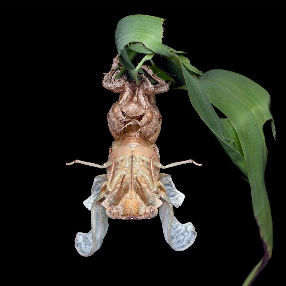 Photograph by ghaniya Almajrafi