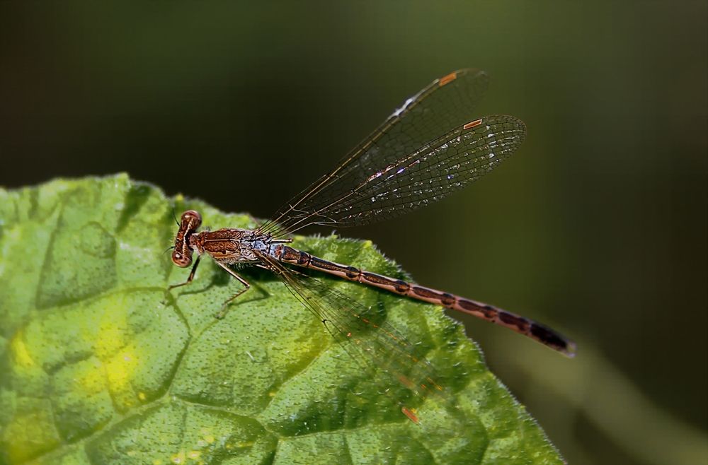 Photograph by Татьяна Слесарева