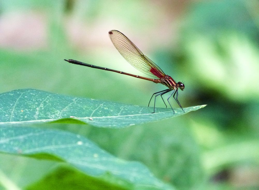 Photograph by GLEYDA GUTIÉREZ