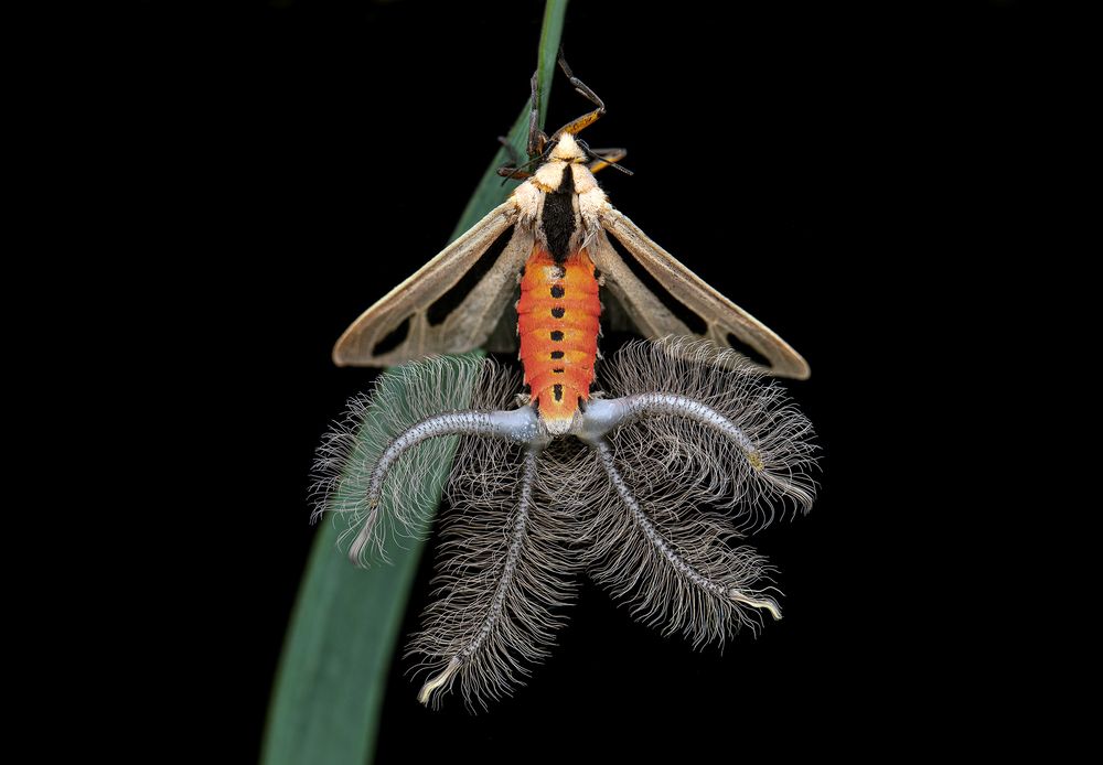 Photograph by ghaniya Almajrafi