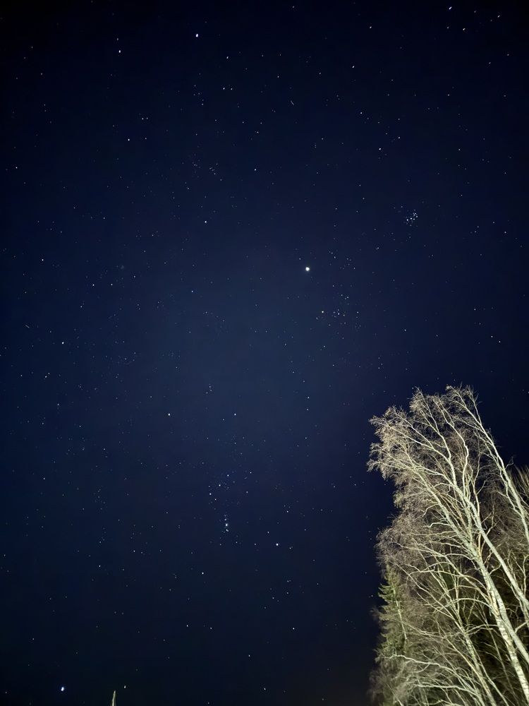 Photograph by Марина Сальникова