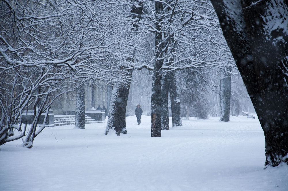 Photograph by Maoqing Che