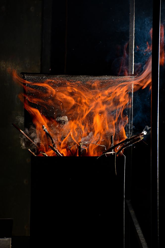 Photograph by Эмилия Лаце