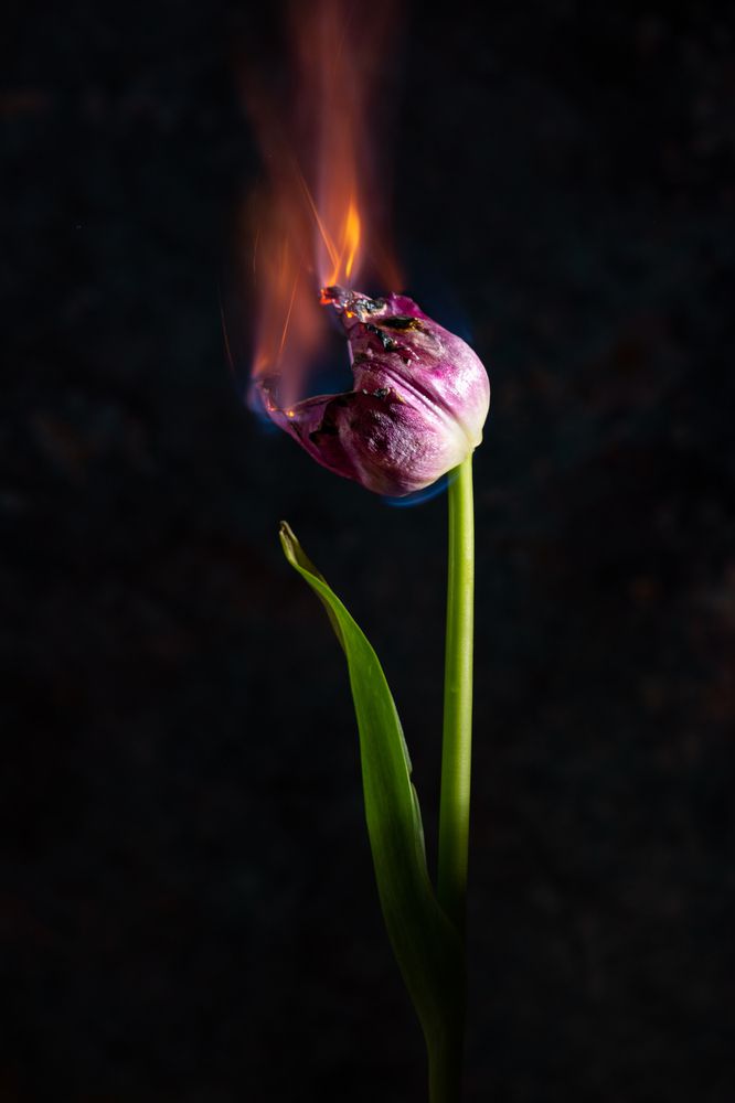 Photograph by Эмилия Лаце